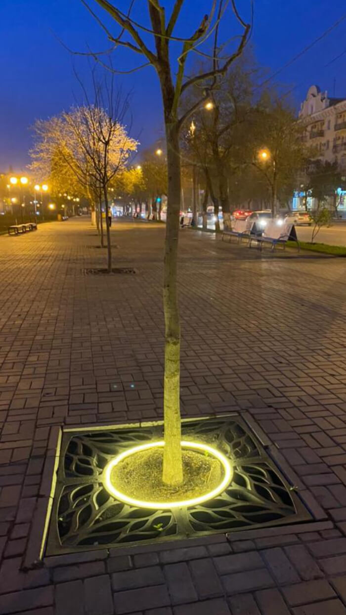 Приствольная решетка для дерева ZKING CRUST 1.2х1.2м Черная в Смоленске фото